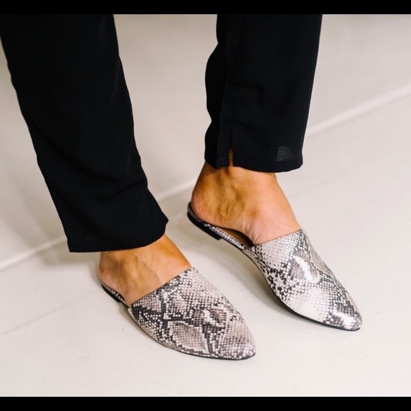 Snakeskin Mules Flats - Never Worn - Picture 3 of 3